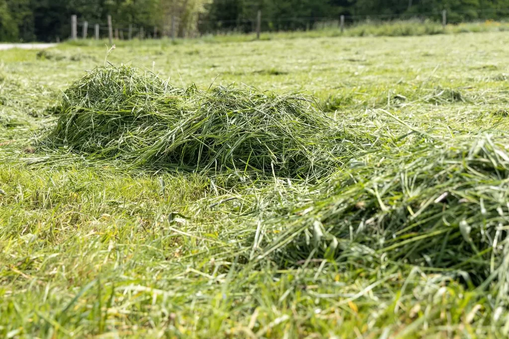 飛散した異物が目に入ると、どんな症状が出ますか？